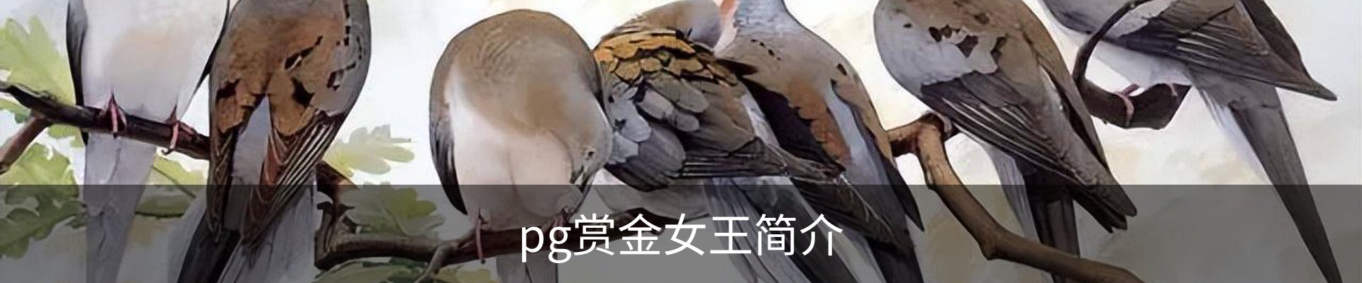pg赏金女王简介